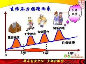 創新共贏 全面解讀寧波分公司迪拜旅游保險業務推廣方案